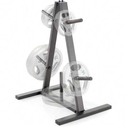 Marcy - Placa de peso estándar para platos de 1 pulgada