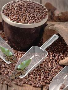 1件/2件/4件/12件透明塑料冰夹和冰勺套装，可重复使用食品夹，小型冰钳，甜点夹，开胃菜夹，沙拉夹，糖夹，锯齿自助餐夹，带柄方铲，冰勺，多功能厨房食物勺，谷物铲，咖啡豆铲，面粉铲，猫狗粮铲 - 彩色 - 查看 5