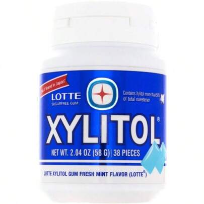 Xylitol Mint Gum 2.04 OZ Pack Of 1