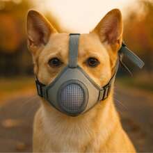 Dog Muzzle, Anti-Bite, Anti-Swallowing, Post-Surgery, Anti-Licking, Breathable Dog Mask, Pet Supplies