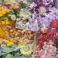 Assorted Dried Flowers Set - Multi-Purpose Preserved Floral, Suitable For DIY Crafts, Photo Frame Decor, Wreaths, Boutonnieres, Wedding Accessories And Home Decor - No Electricity Needed, No Feathers, Perfect For Christmas, Halloween, Easter And Thanksgiving - Multicolor - View 8