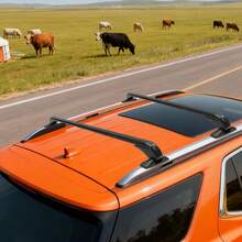 Car Luggage Rack - A - View 6