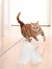 1pc Feather Cat Teaser Wand With Detachable Strong Suction Cup, Powerful Suction, Firmly Adheres To The Ground. This Interactive Cat Toy Is Suitable For Indoor Play And Exercise, No Battery Required - Multicolor - View 5