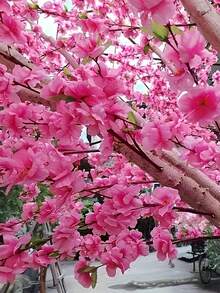 10/5/1件人造櫻花絲綢桃花，春季裝飾DIY花藝，適合花園、居家桌面中心裝飾、派對婚禮裝飾、庭院櫻花枝、仿真植物，適用於戶外室內房間、浴室、辦公室、露台、庭院、牆面、陽台花瓶裝飾 - 粉色 - 查看 12