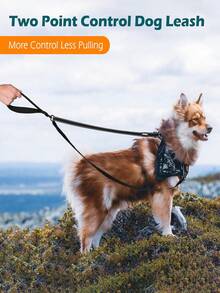 双点控制狗绳，可搭配防拉胸背带和训练绳使用，加粗反光牵引绳，可转换为单点控制，适合中大型犬。 - 彩色 - 查看 2