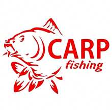 Carp Fishing Funny Waterproof Car Sticker Vinyl Decal For Auto Car Stickers Styling On Bumper Window - A - View 9