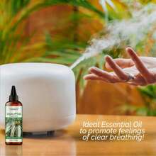 3.4 液盎司纯天然尤加利精油 - 适用于头发、皮肤、香薰机、芳香疗法、DIY、肥皂和蜡烛制作