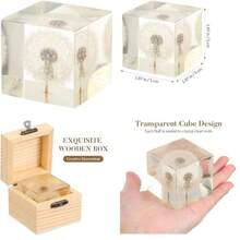 Artibetter Cubo Decorativo con Diente De Len Transparente 3D Adorno Artesanal para Oficina Y Hogar Pisapapeles Creativo para Escritorio Regalo para Cumpleaos Y Festividades - como se muestra en la figura - Ver 1