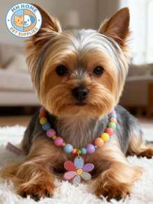 1 Piece Cute Sweet Rainbow Mixed Color Pet Necklace Cat Dog Collar Flower Handmade Beaded Cat Necklace High Elasticity Dog Necklace Flower Pendant Cat Dog Decoration Cat And Dog Jewelry, Pet Clothing Decoration Dogs Kitten Collar Pet Collar Kitty Collar Cartoon Cat Collar Pet Gifts Photo Shoot Prop Cute Pet Necklace Dog Necklace Puppy Necklace Doggy Necklace - Multicolor - View 1