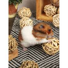 Woven Aquatic Plant Balls, Hamster, Rabbit Chew Toys, Bird Toys, Small Pet Toys, Balls - Improve Pet Dental Health - Multicolor - View 9