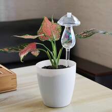 4个蘑菇形自动浇水花盆，倾斜式自动滴灌玻璃浇水壶，透明玻璃花盆浇水器，园艺自动灌溉 - 無色 - 查看 6