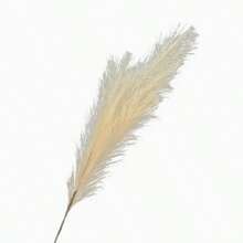 10pcs/Pack 45cm Colorful Artificial Pampas Grass Feather Flowers, Wedding Decor, Store Display, Firecracker - Multicolor - View 4