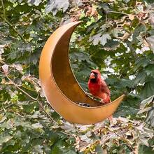 户外月牙形喂鸟器 - 可悬挂、安装在栅栏上，也可作松鼠喂食器，花园装饰，送给爱鸟人士的贴心礼物，金属材质