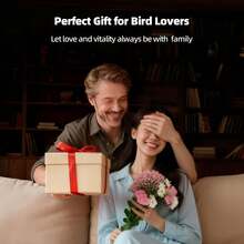 Al Smart Bird Feeder With Camera, Solar-Powered, Equipped With A 4MP HD Camera, 2KResolution, Remote Monitoring, Real-Time Viewing, Detection Alerts, Squirrel-Proof, IP66Waterproof, A Thanksgiving And Christmas Gift, A Dream Gift For Bird Lovers - one-size - View 9