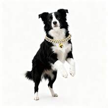 1条嘻哈宠物项链，锌合金链，镶嵌闪亮水钻，适合小型、中型和大型犬猫，节日礼物，日常佩戴，狗狗项链