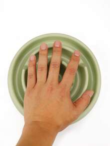 1pc Anti-Gulping Dog/Cat Slow Feeder Bowl, Non-Slip Anti-Flip Anti-Choke Pet Feeding Bowl