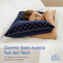 Bordado premium Almohada 1/2pz 60cm*40cm tamaño estander microfibra suave y soporte para dormitorio en casa y sala de estar en sofá - Azul - Ver 6