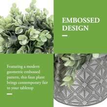 CYPNMyGift- Plantas Artificiales de eucalipto Tienen macetas de Cemento con Patrones geometricos lo Que le da un Relieve Juego de 2 macetas DecorativasFashion - 224543730 - Ver 3