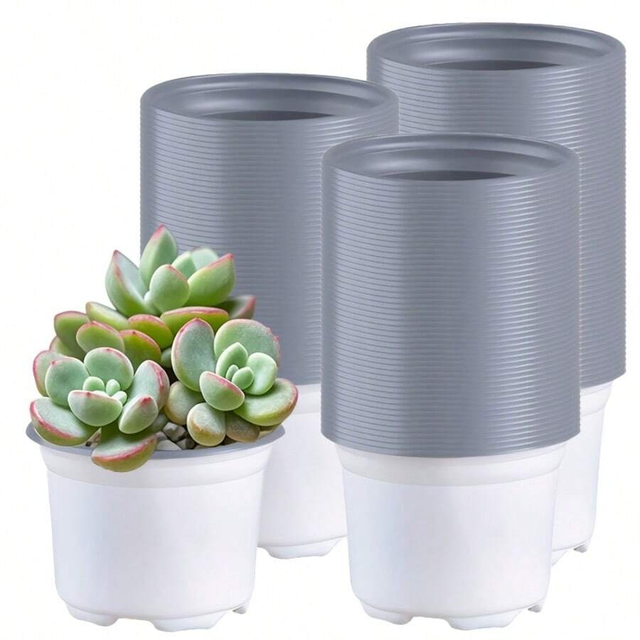 30 Stücke 3,5 Zoll Mini Weiße Sukkulenten Pflanztöpfe, Kleine Sukkulenten Luftpflanzen Blumentöpfe Kakteen Behälter, Geschenke für Pflanzenfans, Heim- und Bürodekoration - Weiss - Übersicht 1