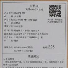 Jordan Session (GS) Casual Low-Top Sneakers IB5679-301 - Army Green - View 7