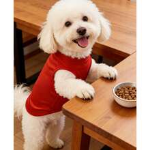 Cartoon Cat & Dog Pattern T-Shirt, Sporty Pet Graphic Jumpsuit T-Shirt