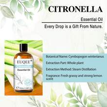 Hot 1pc EUQEE Citronella Essential Oil 10/30/100ml, Premium Essential Oil For Diffuser,Humidifier,DIY Candle,Bath Bomb,Daily Skin Care,Yoga Meditation,Long Lasting Fragrance For Aromatherapy,Perfect Gift Choice - Citronella - View 8