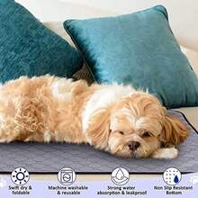 Almohadilla Entrenamiento Perros, 2 PCS Lavable Entrenamiento Almohadillas para Mascota, Almohadilla para Perros, Alfombras para Perros con Funcin Antideslizante 50 * 70cm - como se muestra en la figura - Ver 7