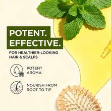 3.4 液盎司薄荷精油 - 100% 纯天然薄荷油 - 优质精油，适用于香薰机、芳香疗法、护肤、按摩、蜡烛和肥皂制作