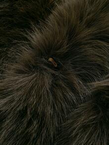 Camellia New Autumn/Winter Faux Fox Fur Collar Fashionable Short Coat, Youthful & Stylish Artificial Fur Jacket - Brownish-green - View 11