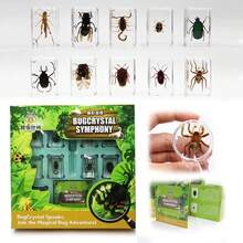 逼真昆虫标本，甲虫、蝎子、犀金龟、蜘蛛，生物科学教育礼品树脂摆件 - 高品质玩具，款式随机，生日礼物 - 圣诞礼物 - 万圣节礼物 - 完美礼物 - 彩色 - 查看 70