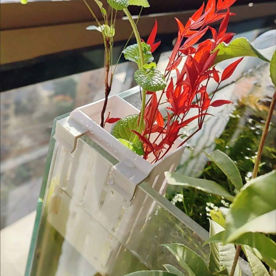 水培种植篮、无土栽培种植网篮、壁挂式水生植物杯、鱼缸装饰配件 - A - 查看 1