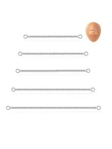 5件装鼻链穿孔不锈钢鼻环，横跨鼻梁，心形双鼻孔鼻梁饰品，男女通用，镀银，尺寸：32/35/40/45/50毫米 - 銀色 - 查看 4