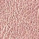 Pink Frosted