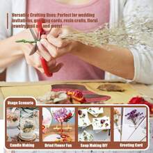 Assorted Dried Flowers Set - Multi-Purpose Preserved Floral, Suitable For DIY Crafts, Photo Frame Decor, Wreaths, Boutonnieres, Wedding Accessories And Home Decor - No Electricity Needed, No Feathers, Perfect For Christmas, Halloween, Easter And Thanksgiving - Multicolor - View 5