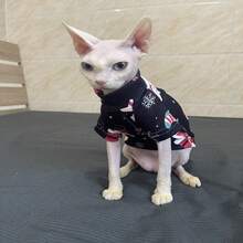 无毛斯芬克斯德文卷毛小猫，可爱的圣诞宠物猫 - 黑色 - 查看 4