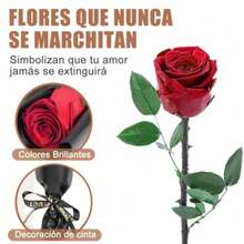 CYPNFlores Rosa Eterna Rojo Regalos para Novia y Mama Ramo de Flor Eterna 12.4 In Regalos de Navidad Día de la Madre y San Valentín para Mujeres Madres Abuelas Esposas Novias y AmantesFashion - 224380653 - Ver 4