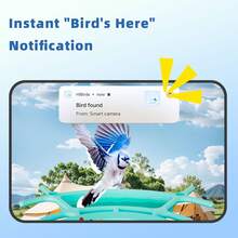 Al Smart Bird Feeder With Camera, Solar-Powered, Equipped With A 4MP HD Camera, 2KResolution, Remote Monitoring, Real-Time Viewing, Detection Alerts, Squirrel-Proof, IP66Waterproof, A Thanksgiving And Christmas Gift, A Dream Gift For Bird Lovers - one-size - View 7