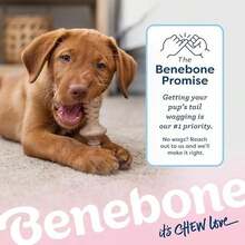 Benebone Puppy 2-Pack Dental Chew/Wishbone Dog Chew Toys, Made In USA, Real Bacon Flavor - Que que/Zaggler - Nhỏ - Thịt xông khói THẬT/Gỗ phong THẬT - Gói 2 cái - Xem 6
