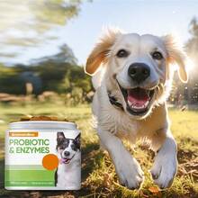 Probiotic Supplements For Dogs -120 Chewable Tablets To Enhance Dogs' Immunity, Suitable For All Varieties Of Probiotic Dog Food - 1 - 查看 6
