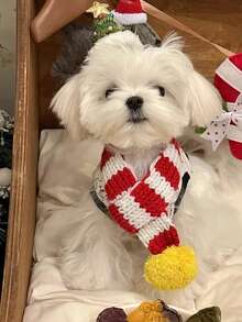 1pc Pet Scarf, Red & White Color Block, Suitable For Cats & Dogs, Warm & Comfortable Knitted Neckwear For Pets, Creative Christmas Gift For Poodle, Teddy, Cats - Multicolor - View 4