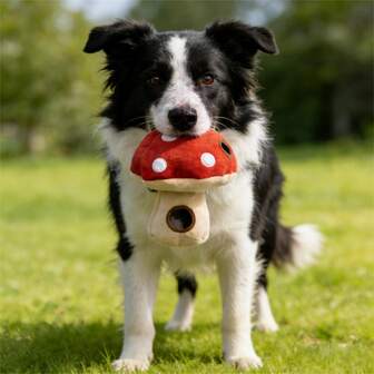 1pc Red Mushroom Shaped 3-In-1 Chew Squeaky Plush Dog Doll, Suitable For Dogs And Cats To Play With