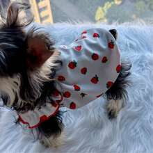 Pet Cat Dog Strawberry Dress, Sleeveless Princess Dress, Lightweight Anti-Shedding Clothes For Small Dogs, Spring/Summer - Multicolor - View 6