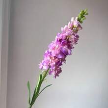85厘米人造紫罗兰仿真丝花，带叶子，适用于花瓶插花、婚礼摄影道具、仿真花束 - 彩色 - 查看 5