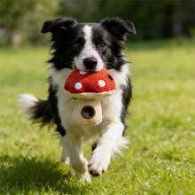 1pc Red Mushroom Shaped 3-In-1 Chew Squeaky Plush Dog Doll, Suitable For Dogs And Cats To Play With - Multicolor - View 3