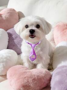 1PC Dopamine Red Silk Adjustable Tie, Suitable For Small And Medium-Sized Dogs And Cats, Mini Tie With Adjustable Size, Creative Fruit Heart Element, Exquisite And High-End Elegant Pet Beauty Decoration Accessories