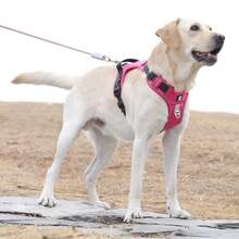 Đai ngực chiến thuật cho chó lớn có tay cầm, 2 kẹp dây xích, áo vest chống thoát hiểm bền chắc cho chó nghiệp vụ, kiểu dáng quân đội, phản quang, có thể điều chỉnh để huấn luyện, đi dạo, leo núi. - Nhiều màu - Xem 7
