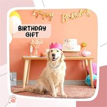 奢华嘻哈宠物项链畅销款，时尚宠物项圈，质感高级，经典链镶嵌水钻，可调节设计，经久耐用不易脱落，适合猫狗佩戴。 - 彩色 - 查看 3