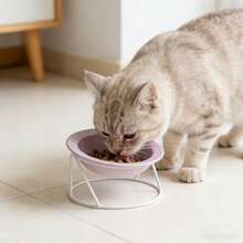 Ceramic Slanted Dual Bowls Cat Bowl, Raised To Prevent Neck Strain And Spilling, For Cats And Dogs