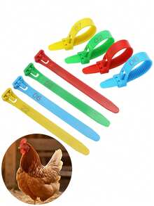 50个装鸡腿环，塑料材质，可调节，防脱落，带编号01-50，适用于家禽、鸭子、鹅等家禽的识别腿环标签 - 如圖 - 查看 12