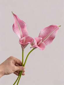 5pcs High Quality Artificial Calla Lily Flowers Home Decor, Living Room Floral Decoration, Fake Flowers Garden Party Decor, Artificial Flower & Plant, Suitable For Valentine's Day Gift, Birthday Party, Wedding Decoration, Bouquet Making, Spring Festival Decor - Multicolor - View 3